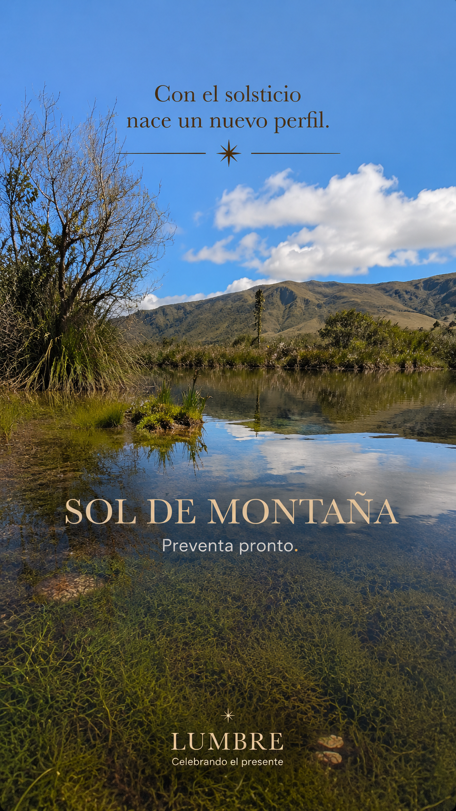 Café Sol de Montaña